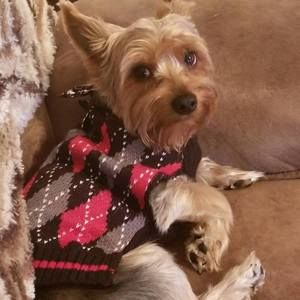 Meet your Posher, Pamela